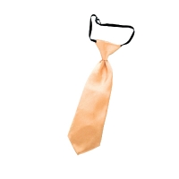  Αποκριάτικο αξεσουάρ γραβάτα πορτοκαλί 