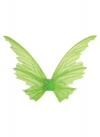  Αποκριάτικα φτερά πράσινα νεράιδας 