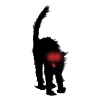  Αποκριάτικη διακοσμητική γάτα μαύρη με φώς 