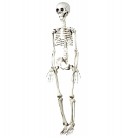  Αποκριάτικος διακοσμητικός σκελετός με φώς & κίνηση 90εκ 